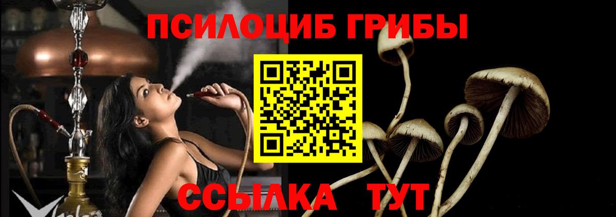 Псилоцибиновые грибы Magic Shrooms Городец